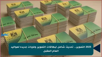 2025 التموين.. تحديث شامل لبطاقات التموين وفئات جديدة لمواليد العام المقبل
